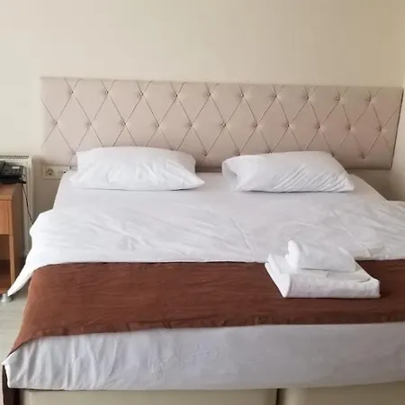 Hotel Sanli *